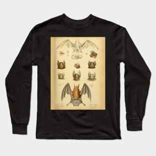 Bat 1 Vintage Wildlife Illustration Long Sleeve T-Shirt